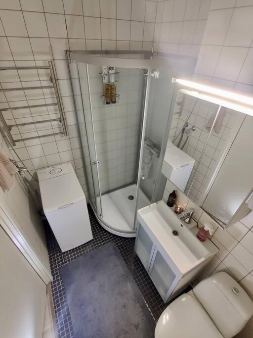 Peaceful City Center Apartment Рованиеми Екстериор снимка